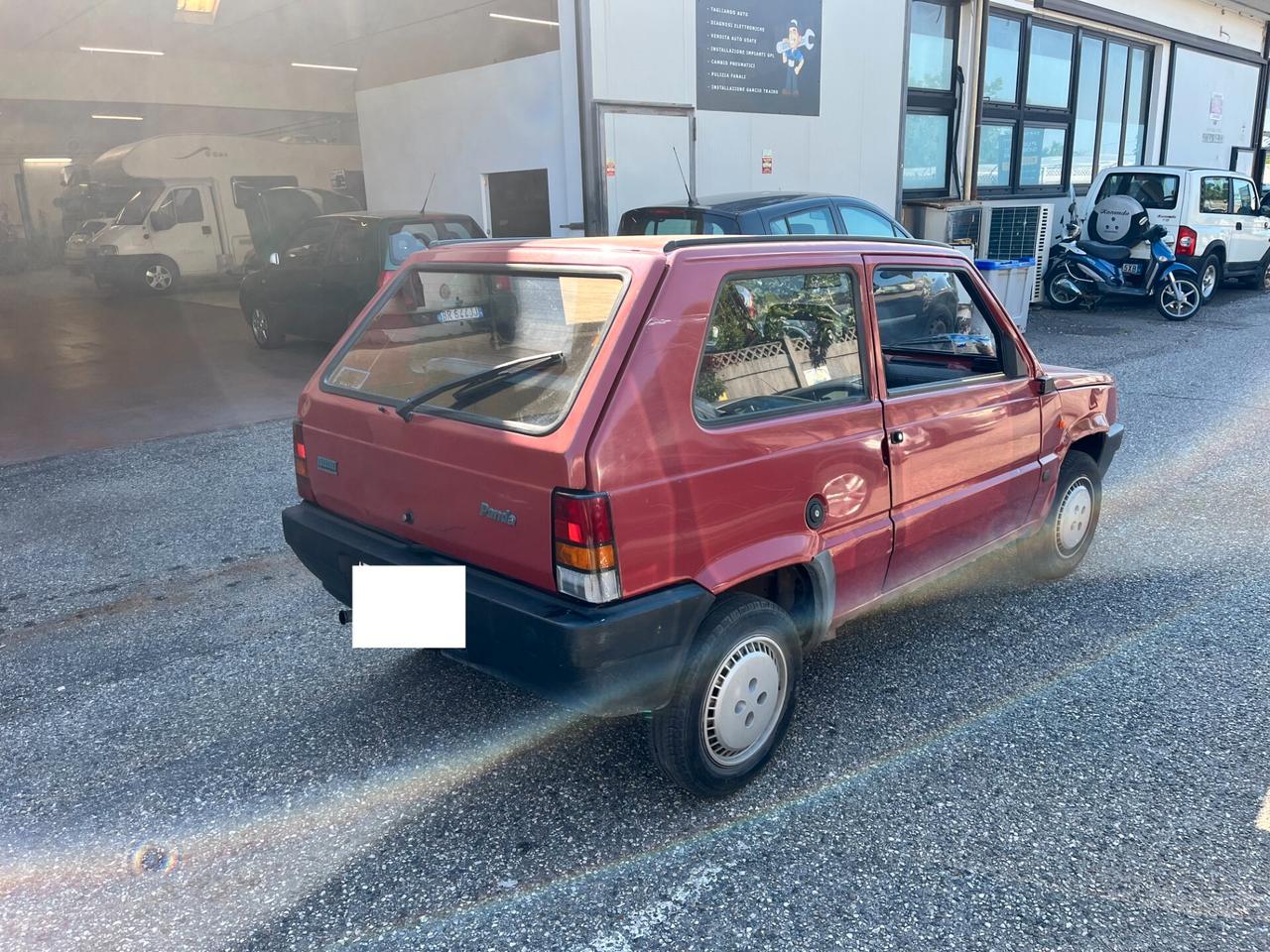 Fiat Panda 900 i.e. cat Young