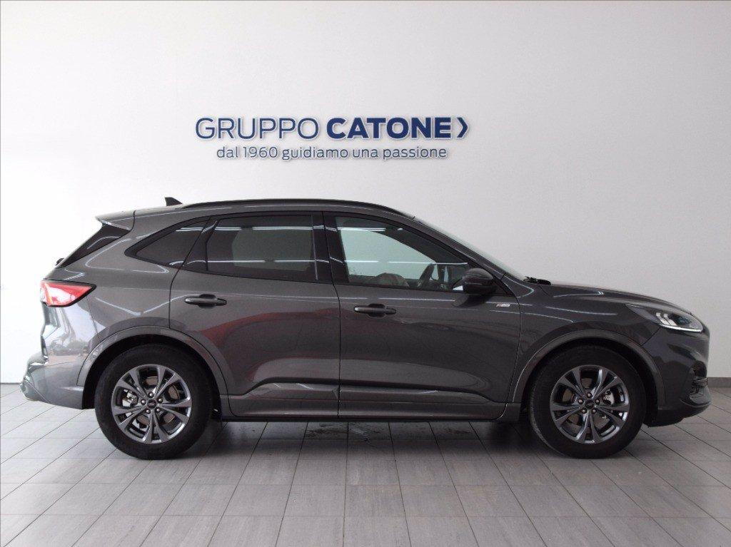 FORD Kuga 1.5 ecoblue ST-Line 2wd 120cv auto del 2023