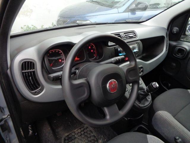 FIAT Panda 1000 HYBRID PANDA 70CV STEREO BLUET ITALIA