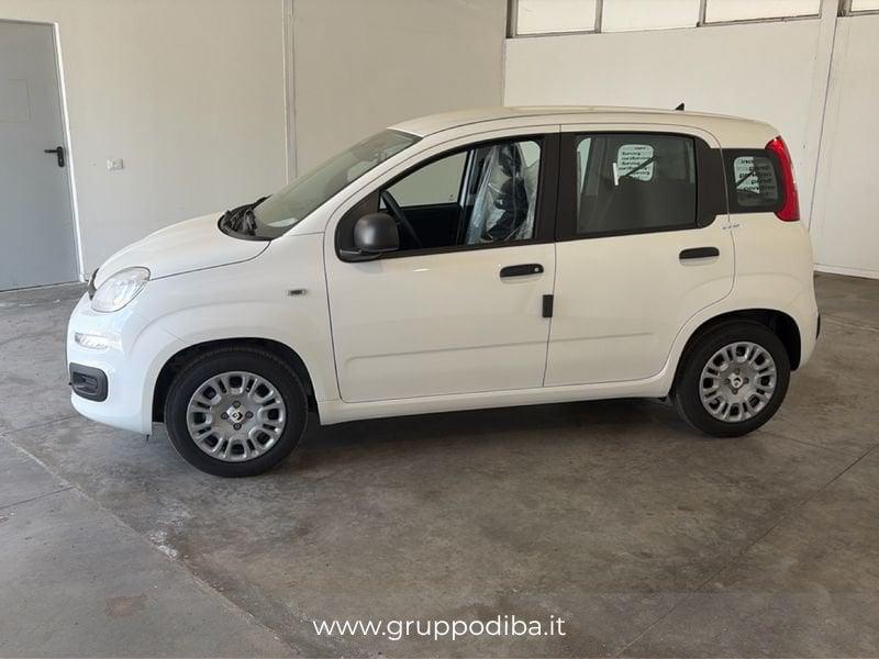 FIAT Pandina 1NA My26 1.0 65cv Hybrid Pop