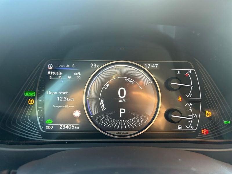 Lexus UX Hybrid Premium 4WD