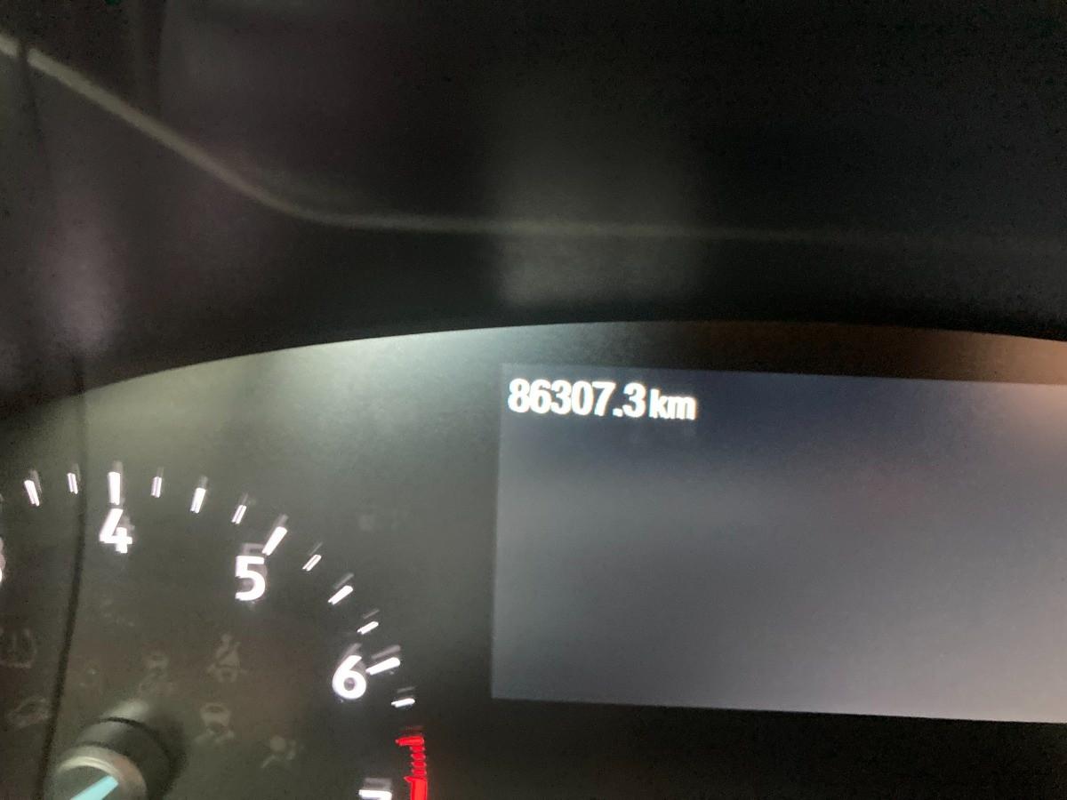 FORD Focus SW 1.0 ecoboost ST-Line 125cv auto