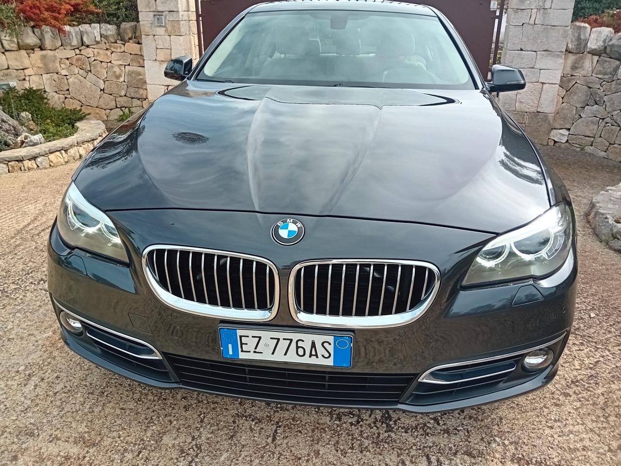 Bmw 520 520d Luxury