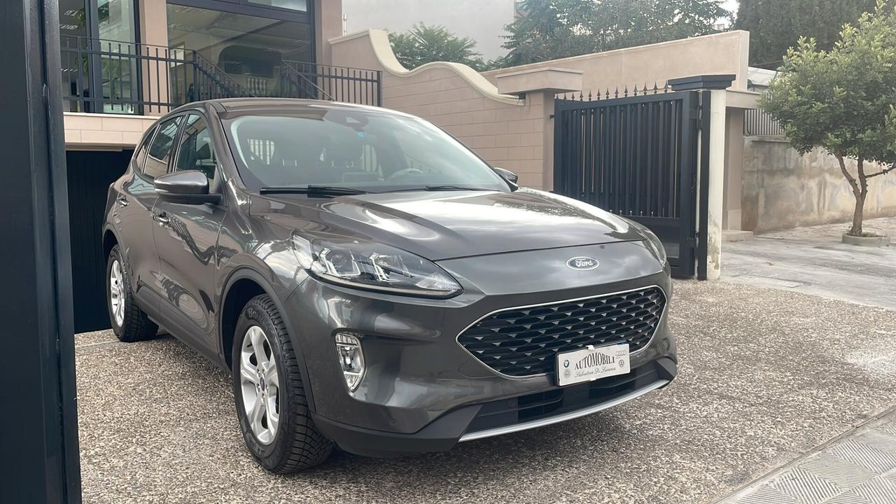 Ford Kuga 3ª Serie 1.5 EcoBlue 120 CV Aut. 2WD ST-Line X