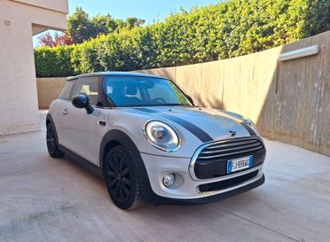 Mini Mini 1.5 One D Hype