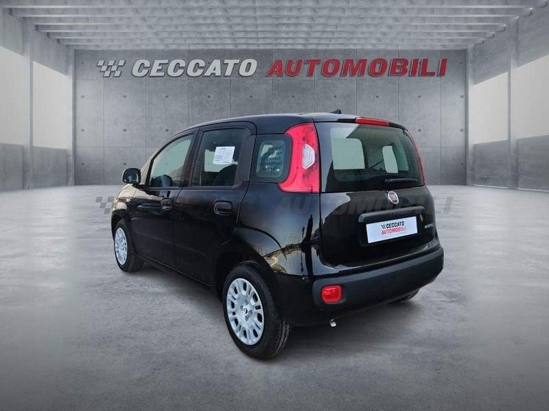 FIAT Pandina Pandina 1.0 65cv Hybrid Icon
