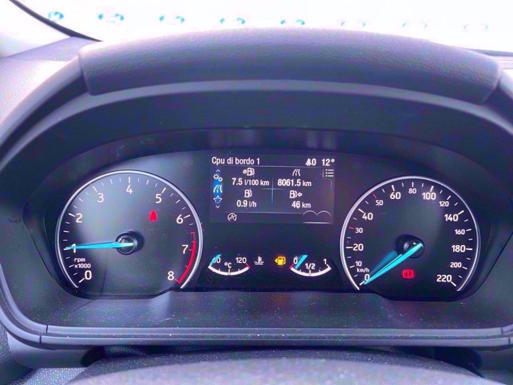 FORD EcoSport 1.0 EcoBoost 125 CV Start&Stop Active del 2021