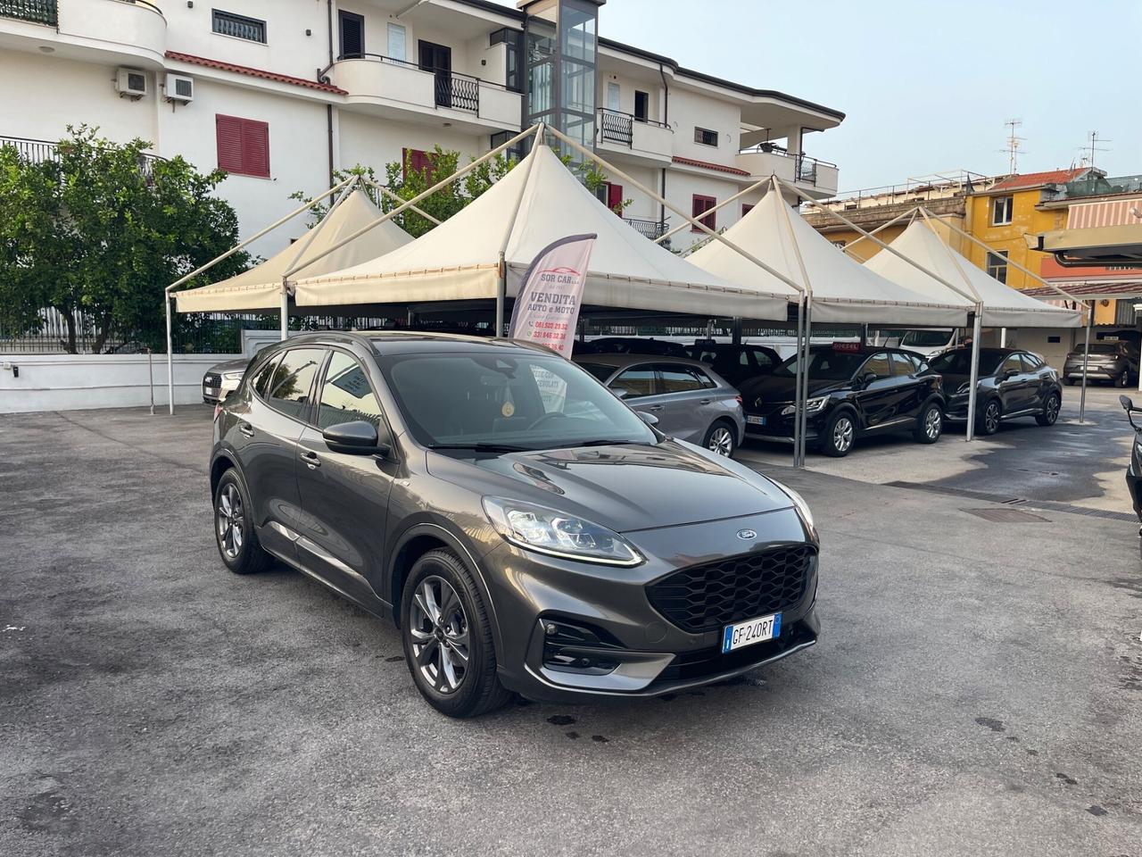 Ford Kuga 1.5 EcoBlue 120 CV aut. 2WD ST-Line X KM CERTIFICATI!!!