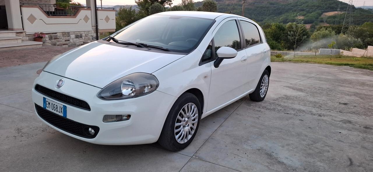 Fiat Punto 1.3 MJT II S&S 95 CV 5 porte Easy