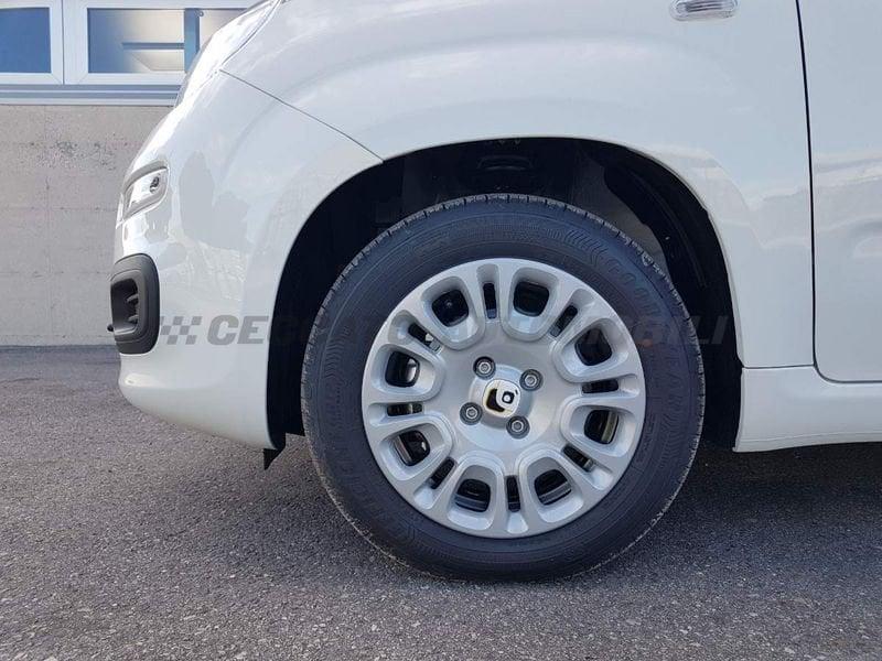 FIAT Panda Panda 1.0 70cv Hybrid Icon