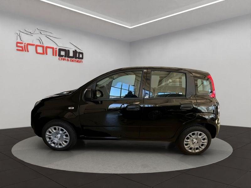 FIAT Pandina Pandina 1.0 firefly hybrid Icon s&s 65cv