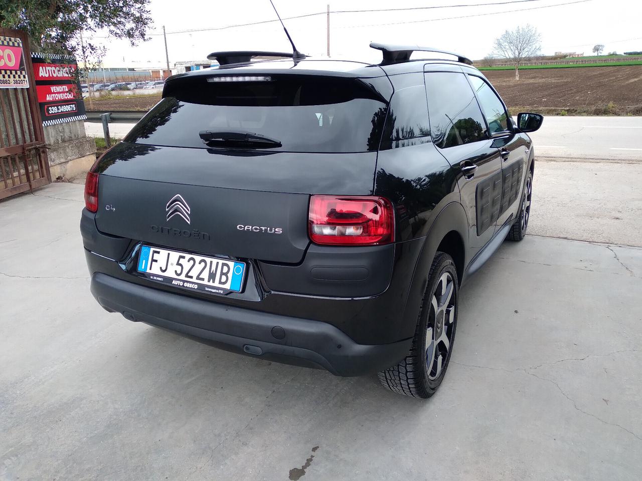 Citroen C4 Cactus BlueHDi 100 Shine