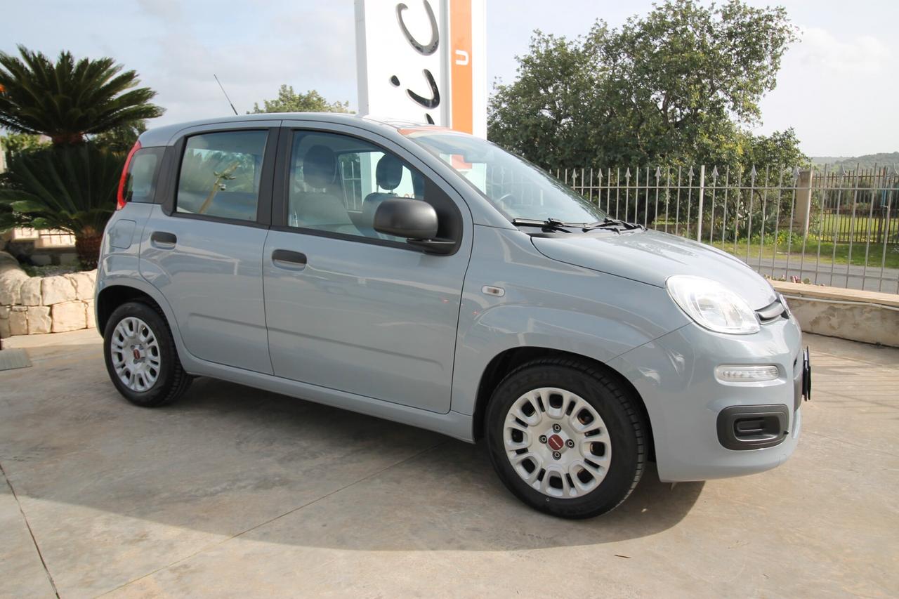 Fiat Panda 1.0 70 Hybrid |2022