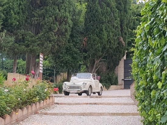 Morris Minor 1000 Cabriolet Asi