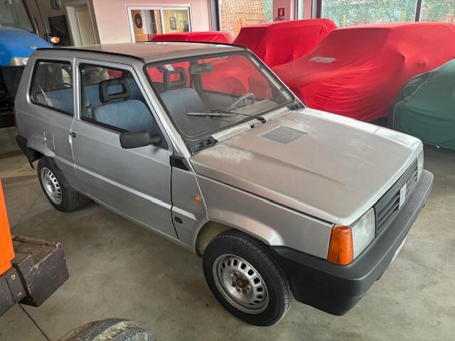 Fiat Panda 1100 i.e. cat Young