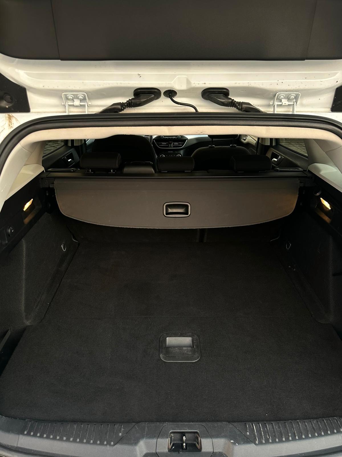 Ford Focus 1.5 EcoBlue 120 CV automatico SW Business Co-Pilot