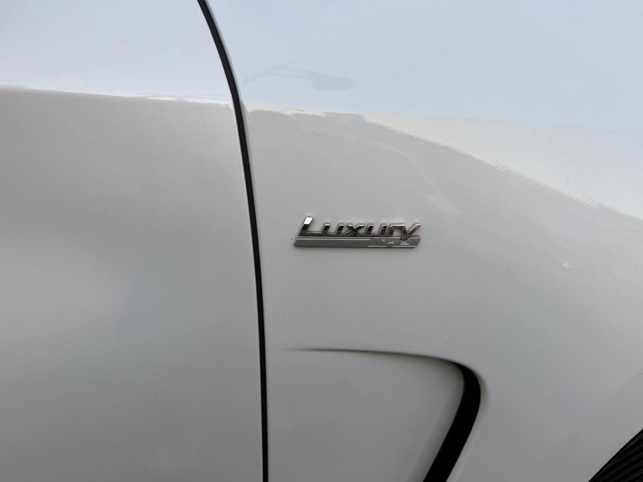 Bmw X5 xDrive25d Luxury CERCHI DA 20 POLLICI