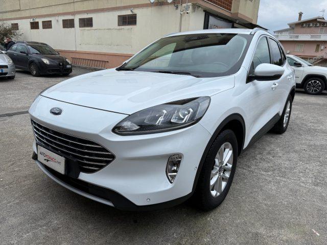 FORD Kuga 1.5 EcoBlue 120CV aut. 2WD Titanium Business