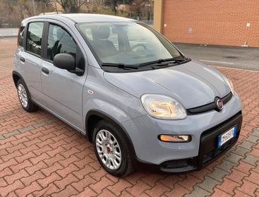 FIAT PANDA 1.0ccHYBRID PARI AL NUOVO