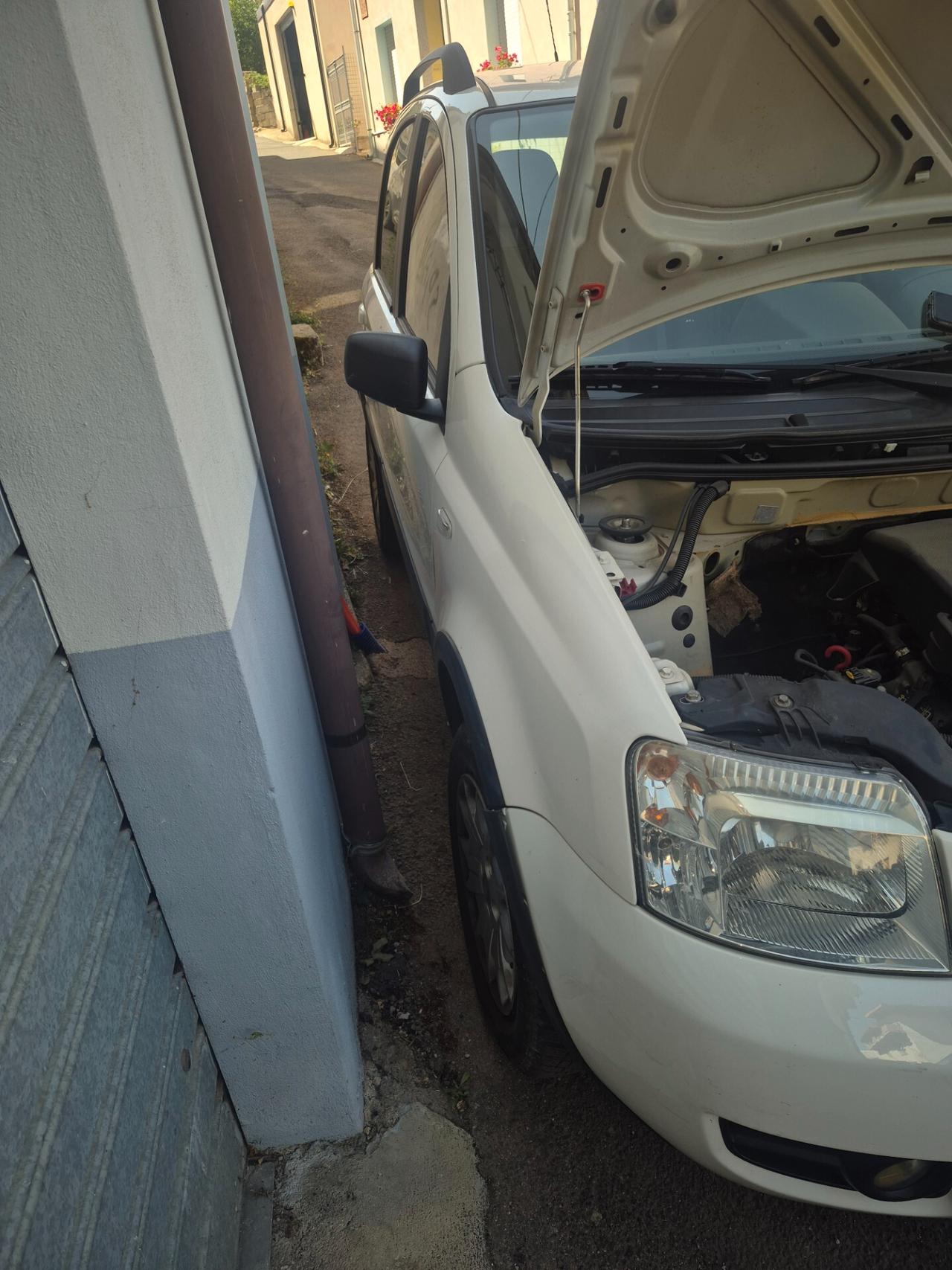 Fiat Panda 1.2 4x4
