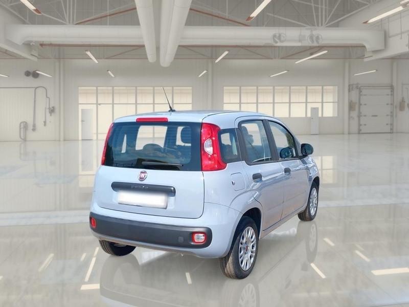FIAT PANDA 1.2 69cv S/S E6d-Temp Easy 5 PORTE