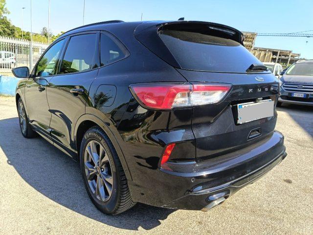 FORD Kuga 1.5 EcoBlue 120 CV 2WD ST-Line