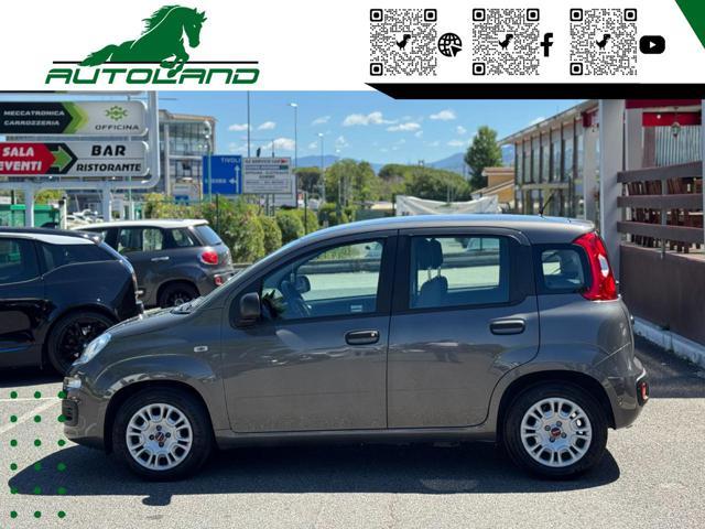FIAT Panda 1.0 FireFly S&S Hybrid Sensori Parcheggio