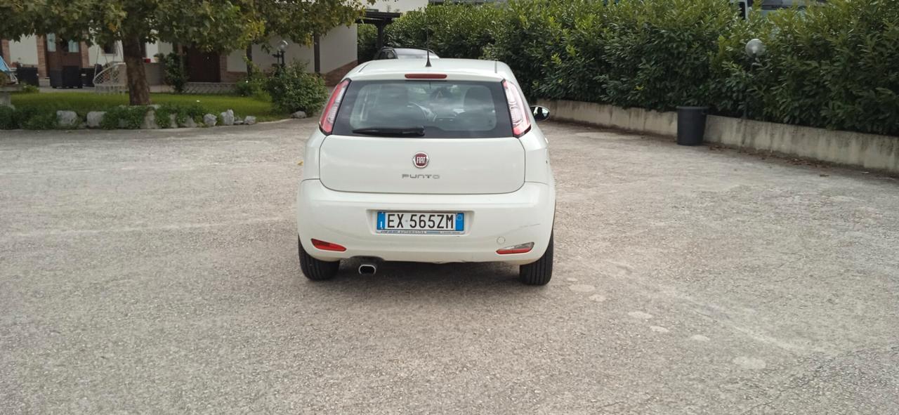 Fiat Punto 1.2 8V 5 porte Lounge