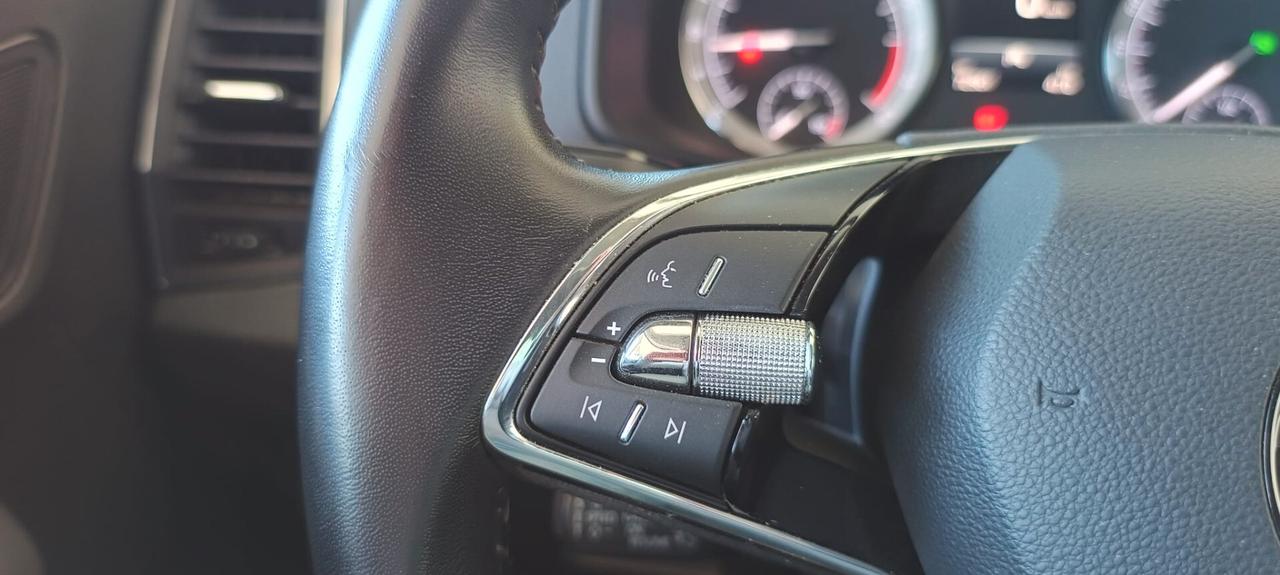 Skoda Karoq 2.0 TDI EVO SCR 115 CV DSG Executive