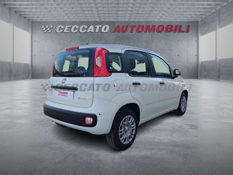 FIAT Panda Panda 1.0 firefly hybrid s&s 70cv 5p.ti