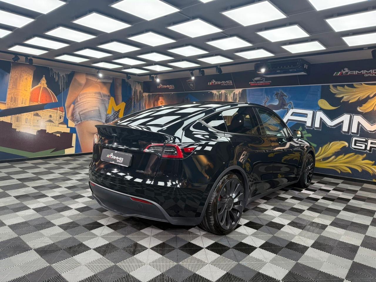 Tesla Model Y AWD Performance (231)