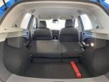 Mg ZS - APERTI AD AGOSTO