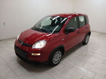 FIAT Pandina 1.0 firefly hybrid s&s 70cv