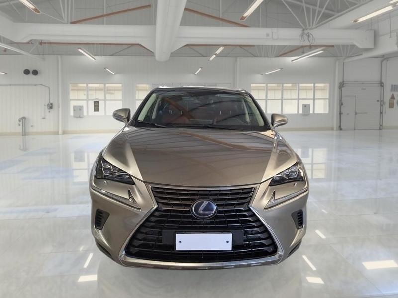 LEXUS NX Hybrid Luxury 4WD