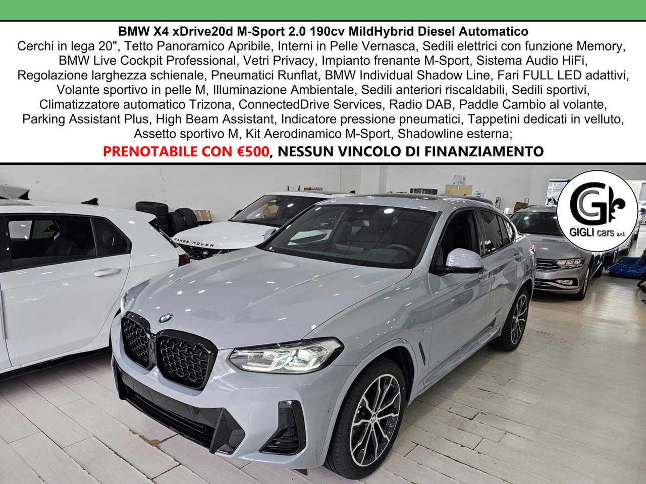BMW X4 XDrive20d M-Sport C20" TETTO Navi CAM LED Clima3Z