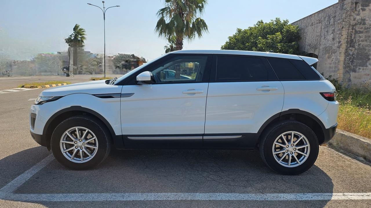 Land Rover Range Rover Evoque 2.0 TD4 150CV 5P PURE