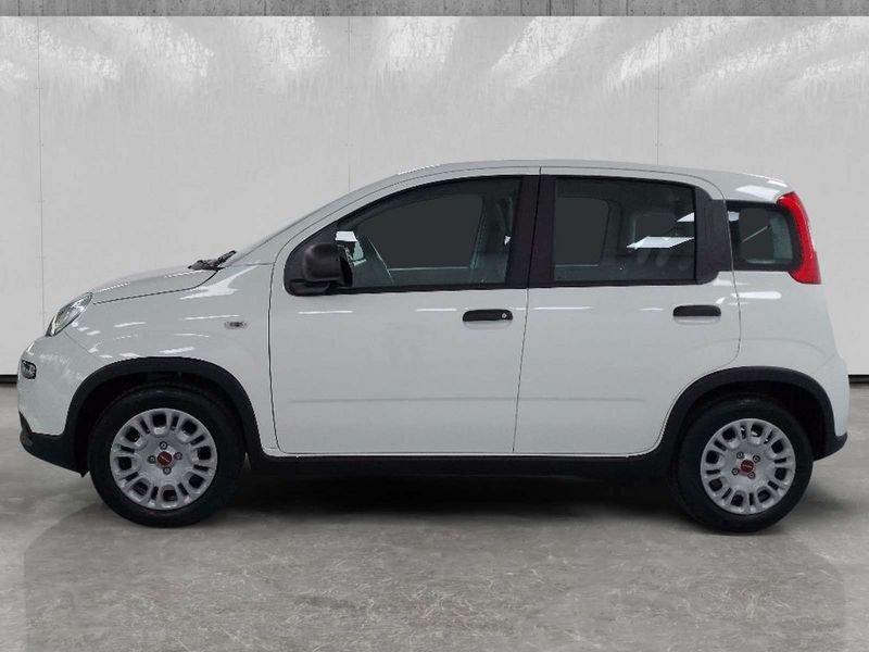 FIAT Panda 1.0 firefly hybrid s&s 70cv 5p.ti