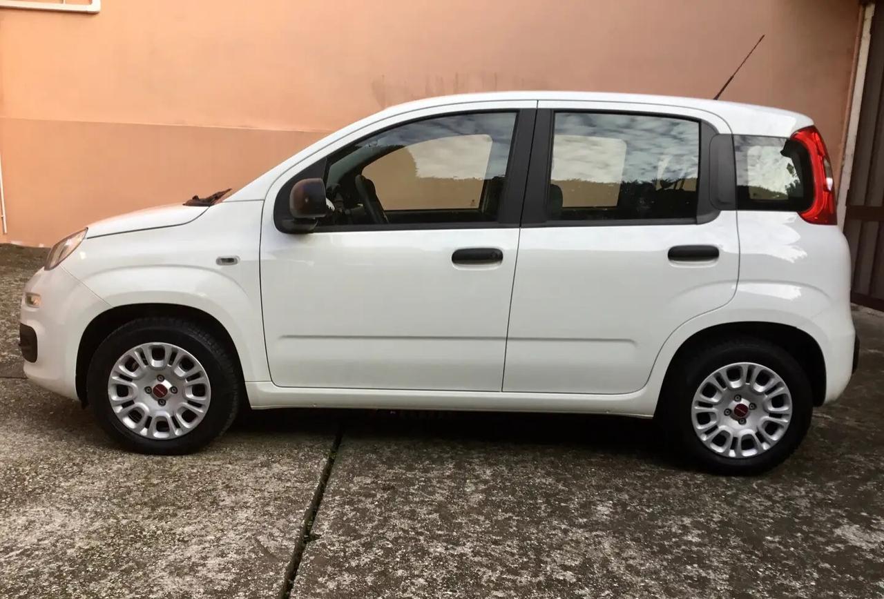 Fiat Panda Easy 1.2 benzina 69 cv.