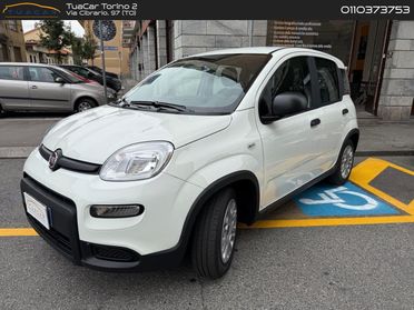 Fiat Panda Easy 1.0 GSE MHEV #6795