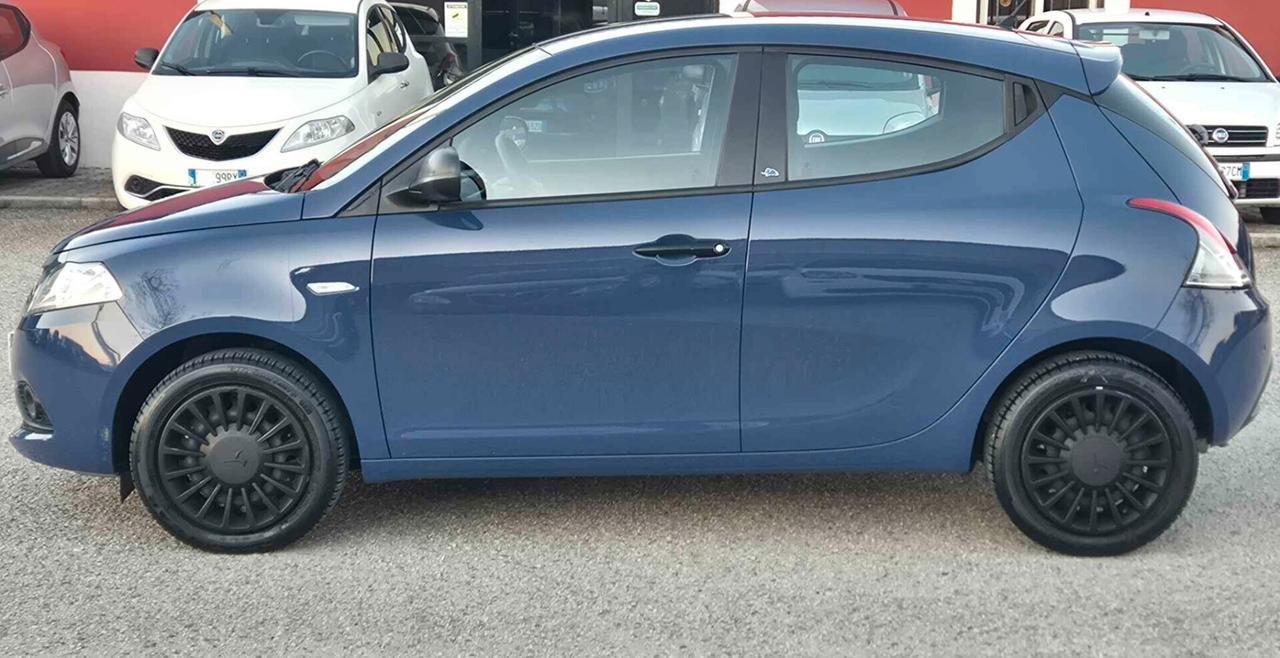 Lancia Ypsilon 1.2 69 CV 5 porte Elefantino Blu km 13732
