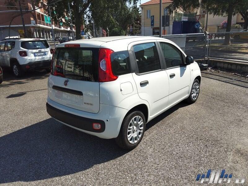 FIAT Panda MY25 1.0 70cv Hybrid