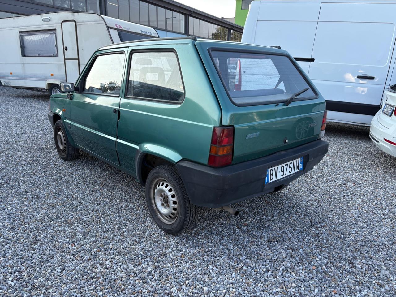 Fiat Panda 1100 i.e. cat Young