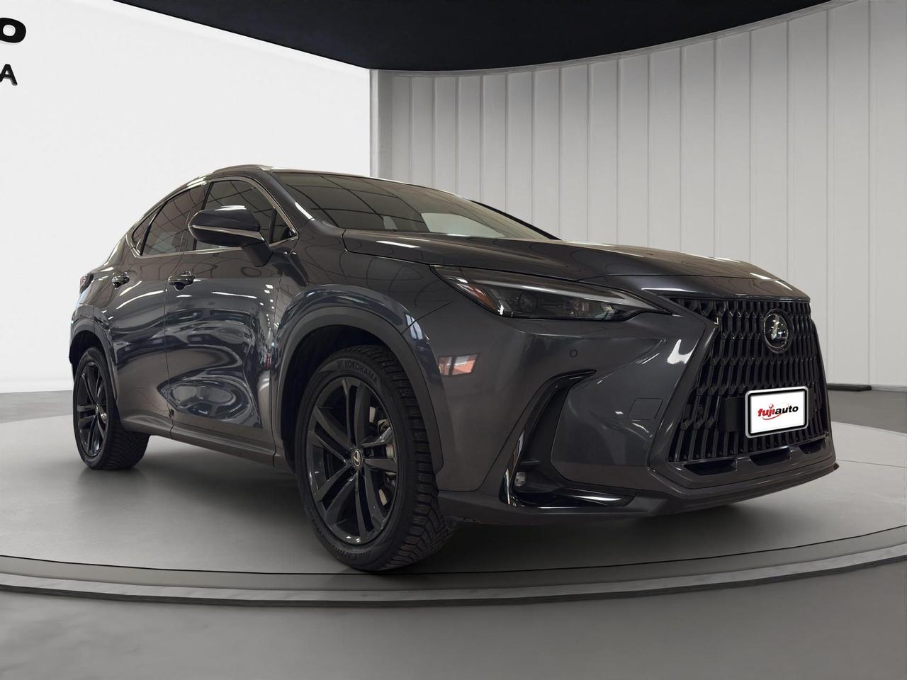 Lexus NX 450h+ 2.5 phev Premium+ 4wd 309cv e-cvt