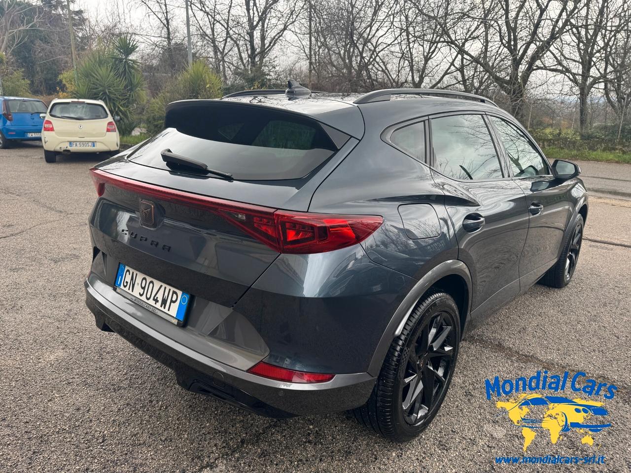 Cupra Formentor 2.0 TDI 4Drive DSG