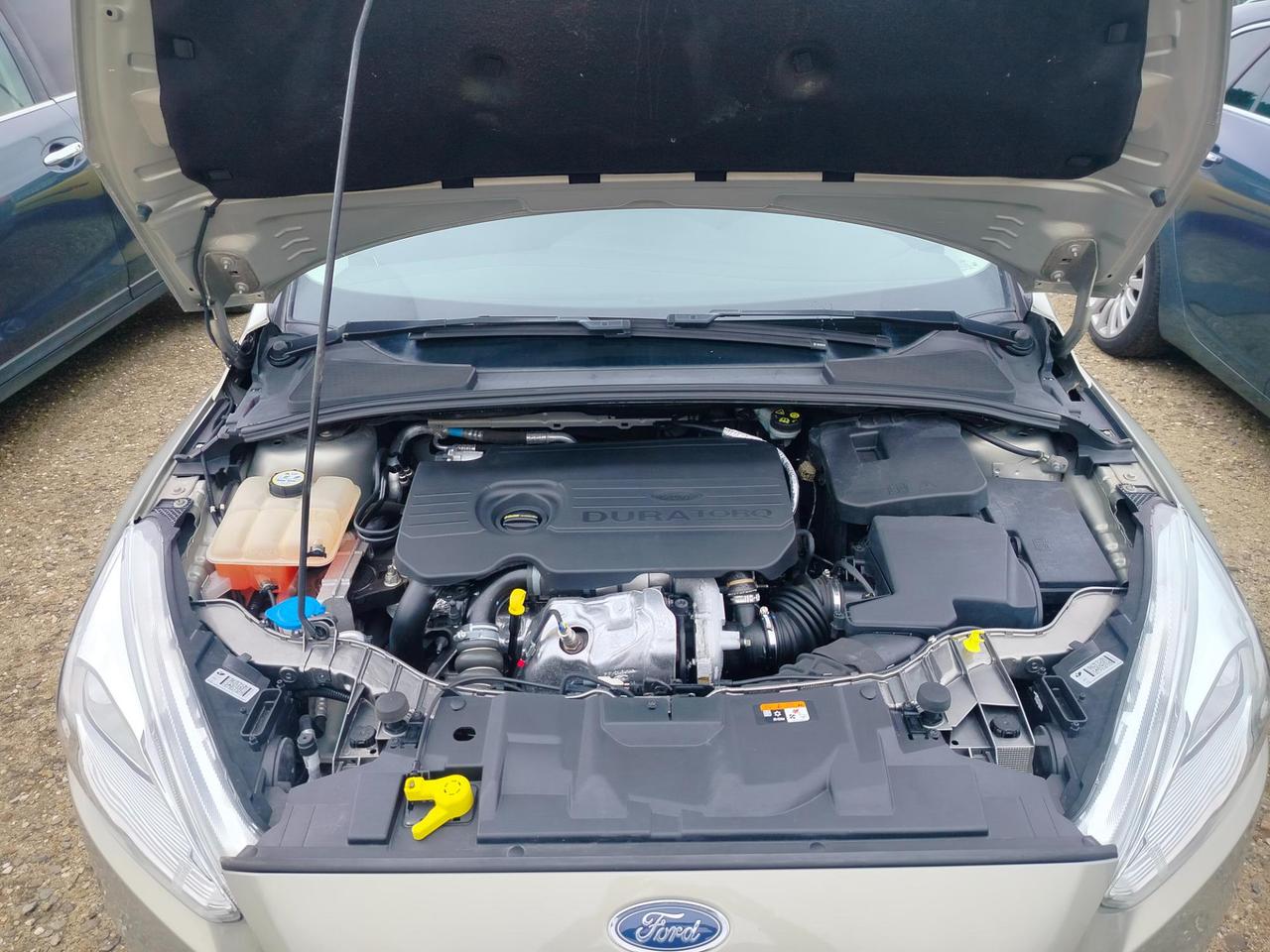 Ford Focus Station Wagon Focus SW 1.5 Tdci Business 120cv