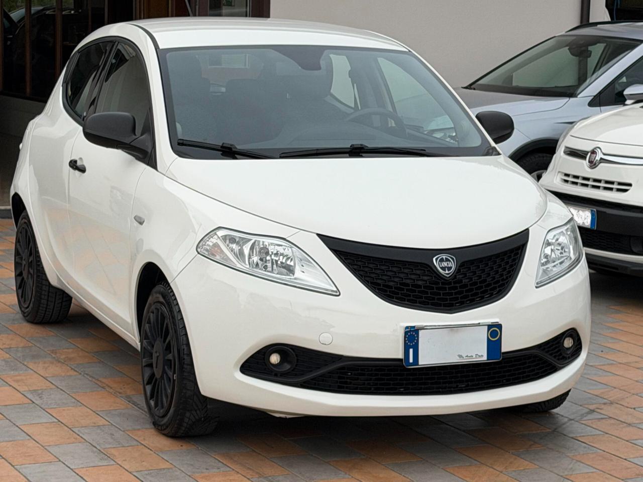 Lancia Ypsilon 1.2 69 cv. ELEFANTINO BLU