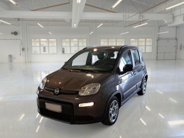 FIAT PANDA HYBRID CITYLIFE MY22
