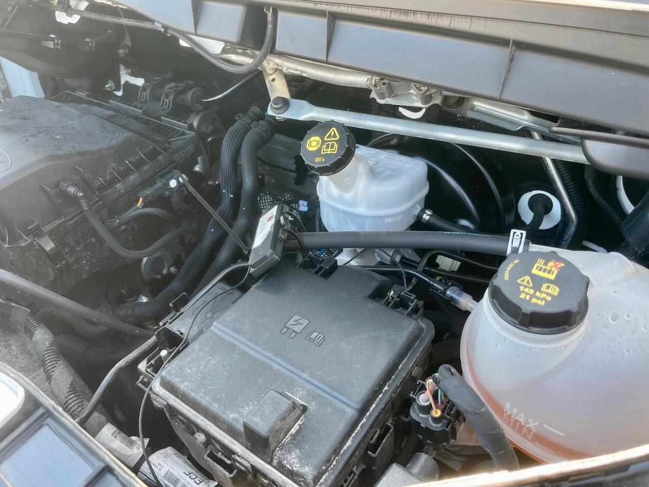 FORD TRANSIT 350 L2H2 TREND 2.0 - 2022