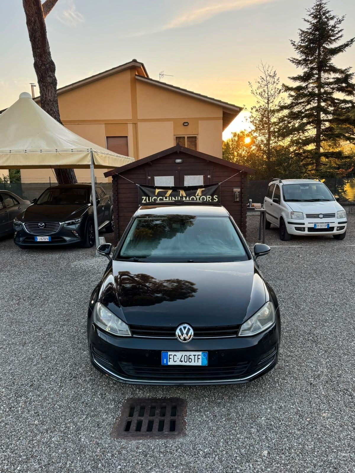 Volkswagen Golf 1.6 TDI 110 CV 5p. Executive BlueMotion Technology