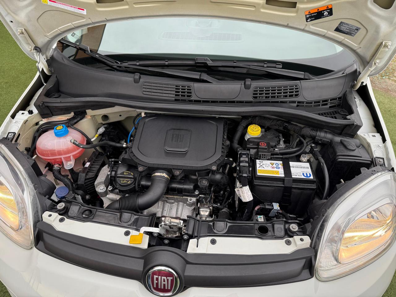 Fiat Panda 1.0 Hybrid City Life 70cv 5p.ti OK NEOPAT 43000km